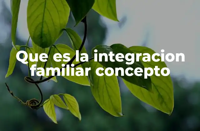 Que es la Integracion Familiar Concepto