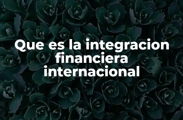 Que es la Integracion Financiera Internacional