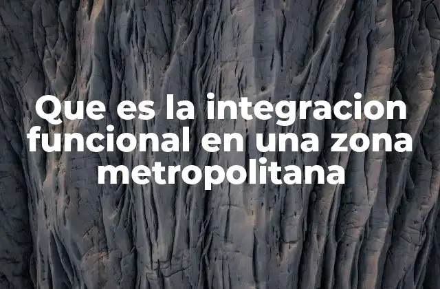 Que es la Integracion Funcional en una Zona Metropolitana
