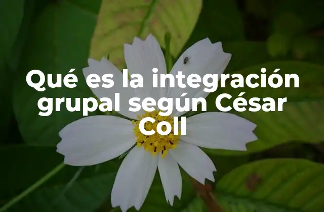 Qué es la Integración Grupal según César Coll 2 El rol del grupo en la construcción del conocimiento