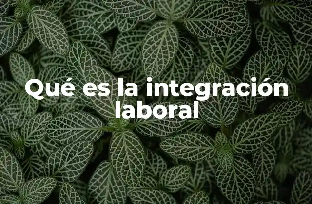 Qué es la Integración Laboral 2 El rol de las políticas públicas en la inclusión laboral