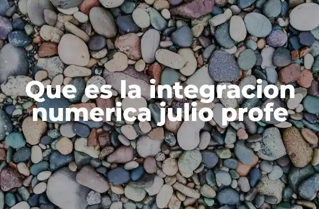 Que es la Integracion Numerica Julio Profe