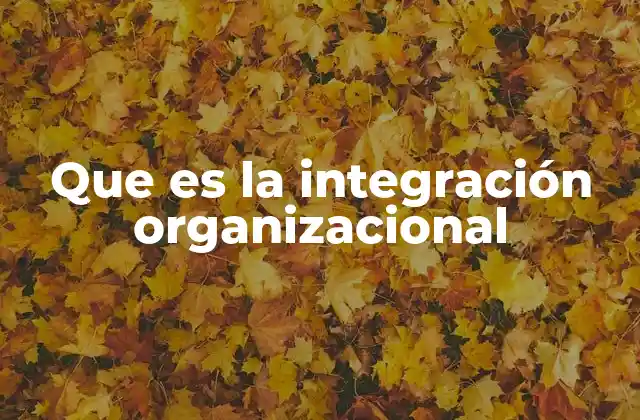 Que es la Integración Organizacional