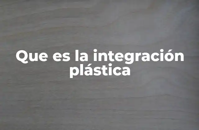 Que es la Integración Plástica