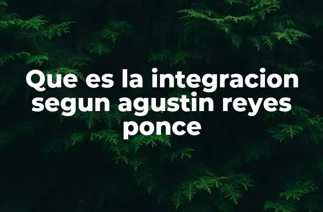 Que es la Integracion Segun Agustin Reyes Ponce