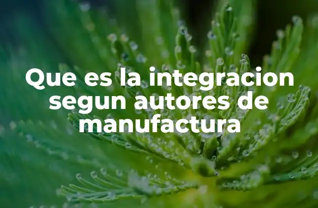 Que es la Integracion Segun Autores de Manufactura