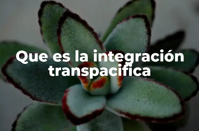 Que es la Integración Transpacifica
