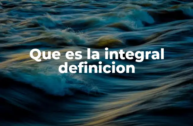 Que es la Integral Definicion