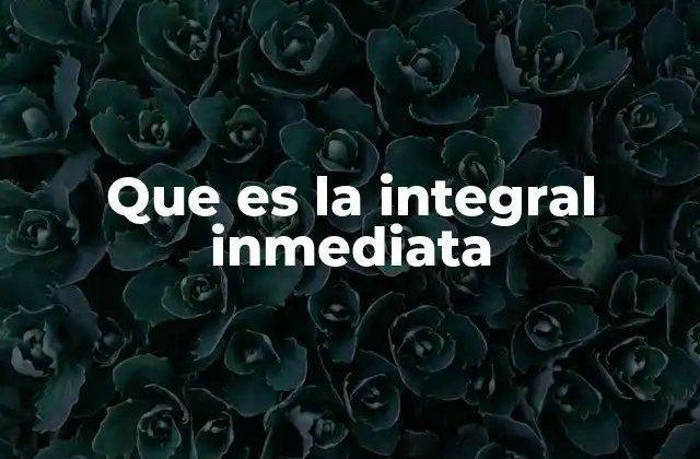 Que es la Integral Inmediata
