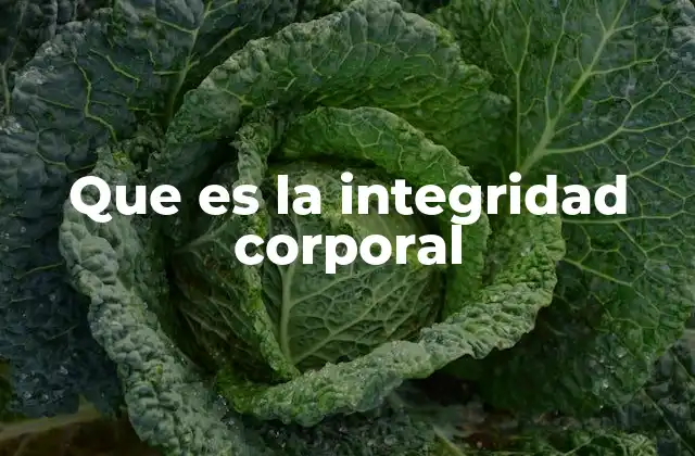 Que es la Integridad Corporal