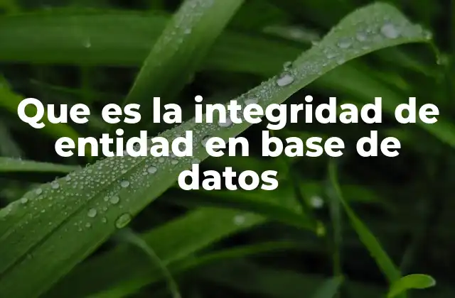 Que es la Integridad de Entidad en Base de Datos