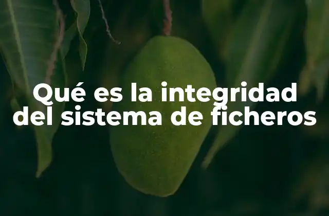 Qué es la Integridad Del Sistema de Ficheros