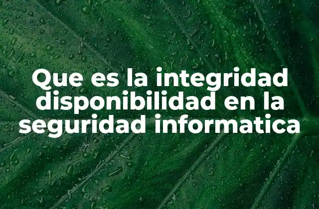 Que es la Integridad Disponibilidad en la Seguridad Informatica