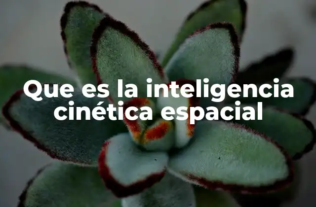 Que es la Inteligencia Cinética Espacial