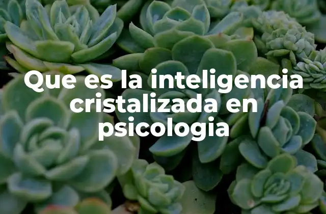Que es la Inteligencia Cristalizada en Psicologia 2 El papel de la experiencia y la educación en el desarrollo de la inteligencia cristalizada