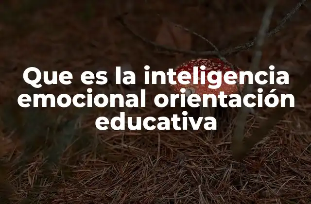 Que es la Inteligencia Emocional Orientación Educativa