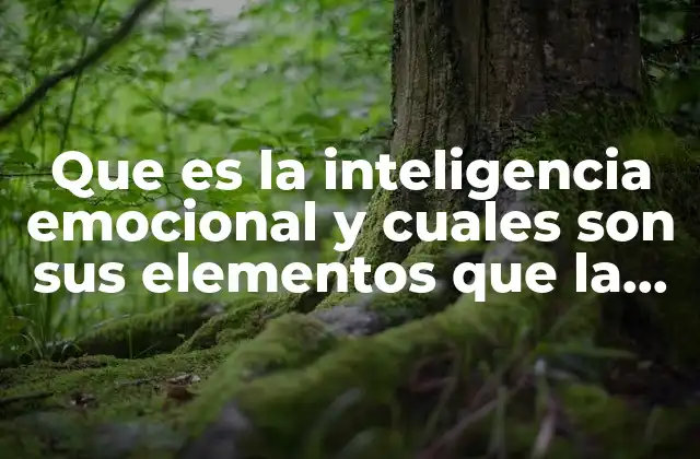 Que es la Inteligencia Emocional y Cuales Son Sus Elementos que la Conforman
