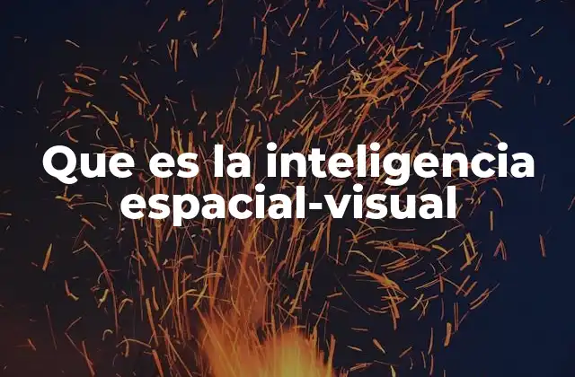 Que es la Inteligencia Espacial-visual