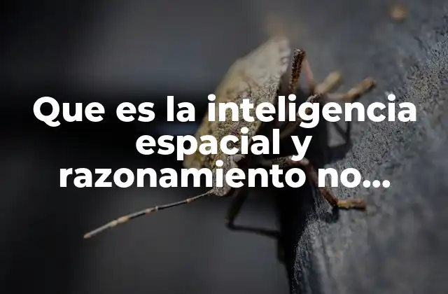 Que es la Inteligencia Espacial y Razonamiento No Verbal