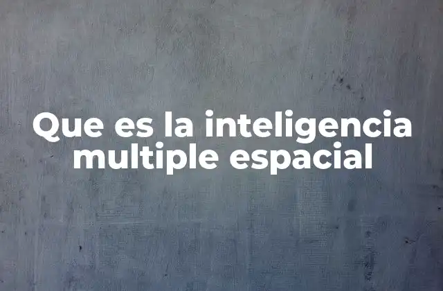 Que es la Inteligencia Multiple Espacial