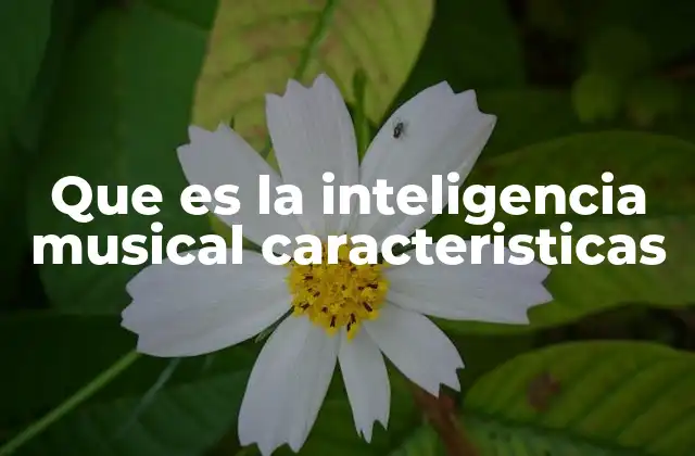 Que es la Inteligencia Musical Caracteristicas