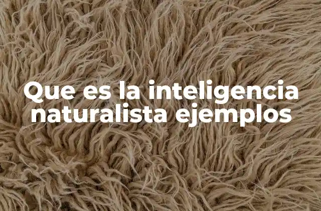 Que es la Inteligencia Naturalista Ejemplos 2 La inteligencia naturalista y su relación con la observación del entorno