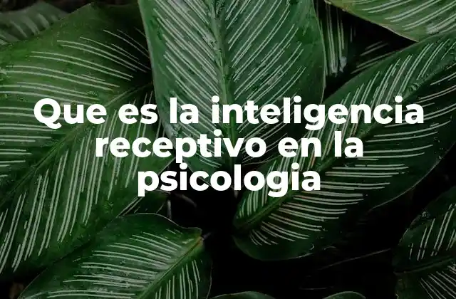 Que es la Inteligencia Receptivo en la Psicologia