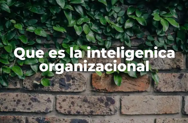 Que es la Inteligenica Organizacional