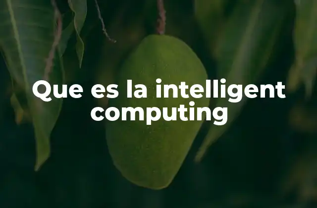 Que es la Intelligent Computing