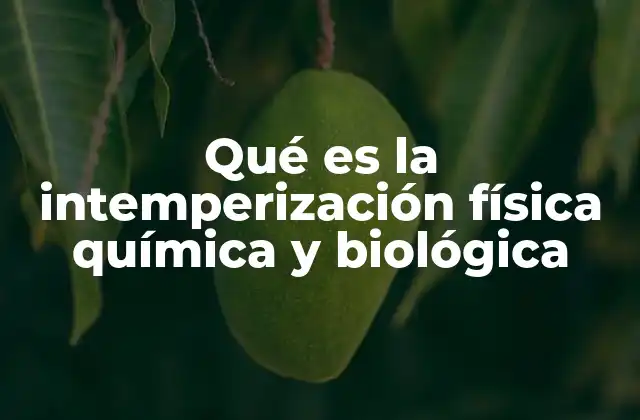 Qué es la Intemperización Física Química y Biológica