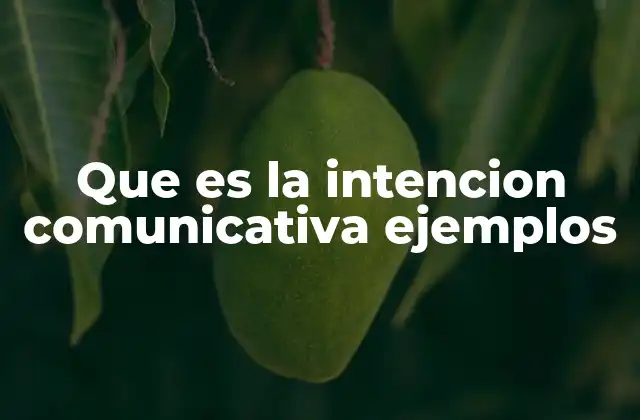 Que es la Intencion Comunicativa Ejemplos