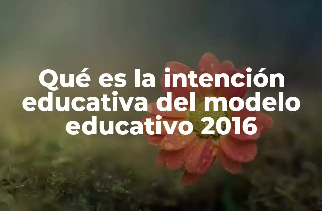 Qué es la Intención Educativa Del Modelo Educativo 2016