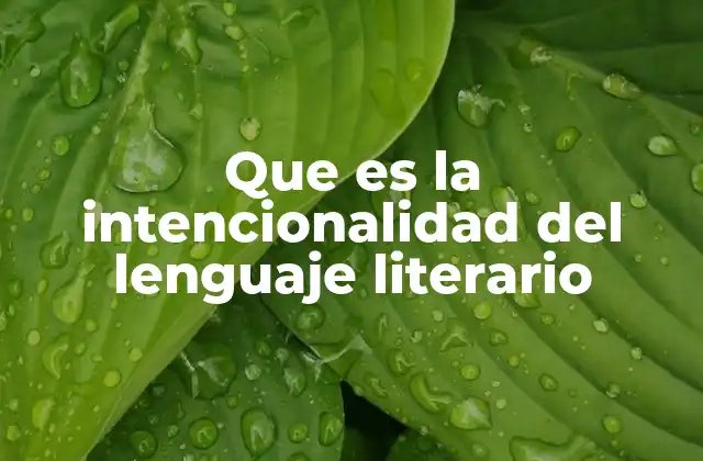 Que es la Intencionalidad Del Lenguaje Literario