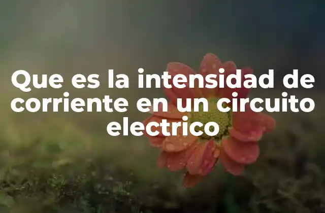 Que es la Intensidad de Corriente en un Circuito Electrico