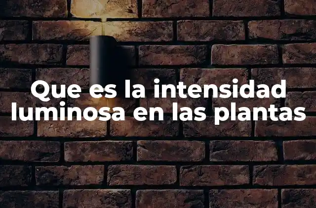 Que es la Intensidad Luminosa en las Plantas