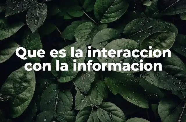 Que es la Interaccion con la Informacion