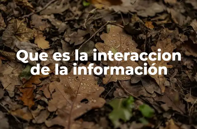Que es la Interaccion de la Información