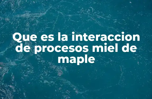 Que es la Interaccion de Procesos Miel de Maple
