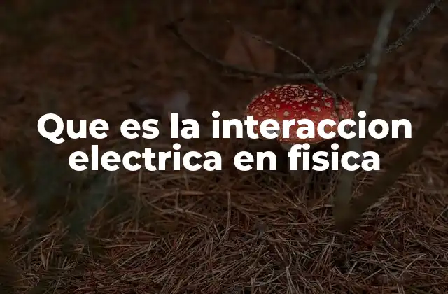 Que es la Interaccion Electrica en Fisica