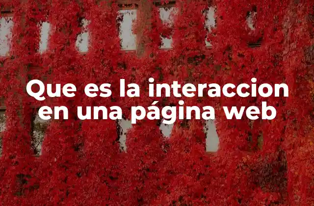 Que es la Interaccion en una Página Web