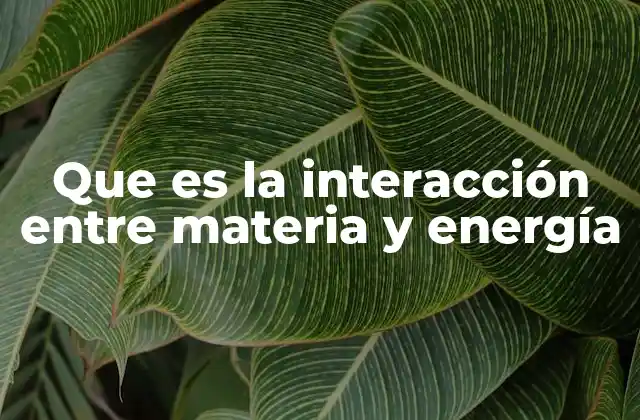 Que es la Interacción entre Materia y Energía