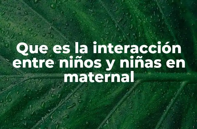 Que es la Interacción entre Niños y Niñas en Maternal