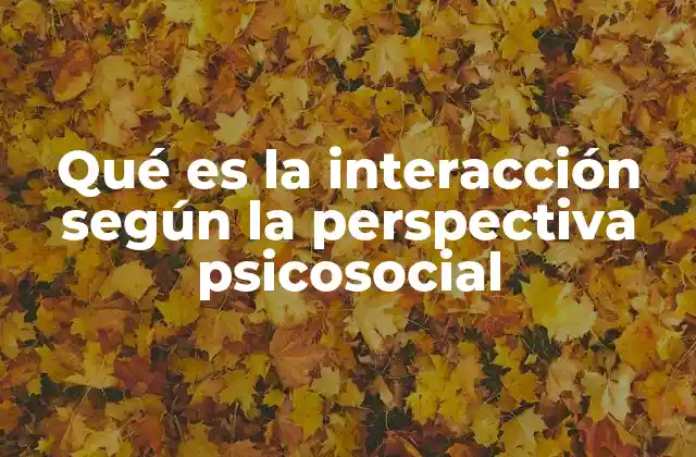 Qué es la Interacción según la Perspectiva Psicosocial
