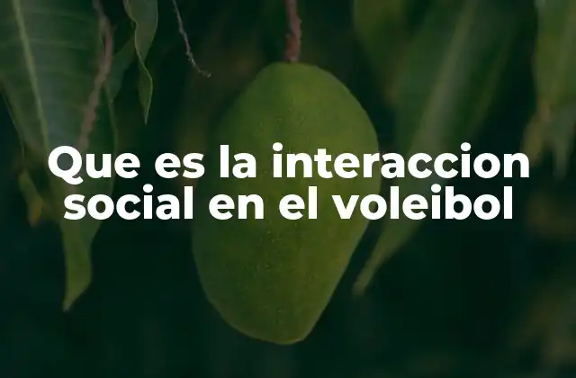 Que es la Interaccion Social en el Voleibol 2 La base del trabajo en equipo en el voleibol