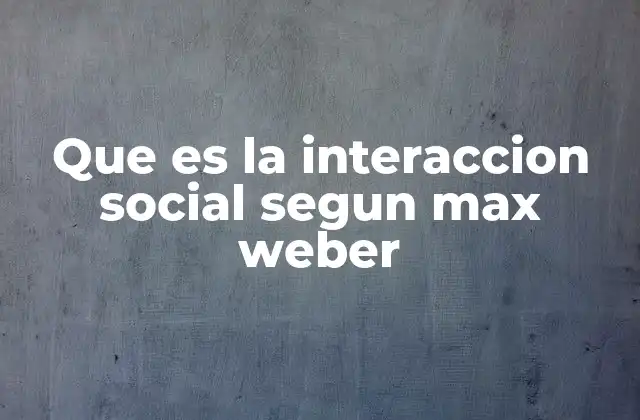 Que es la Interaccion Social Segun Max Weber