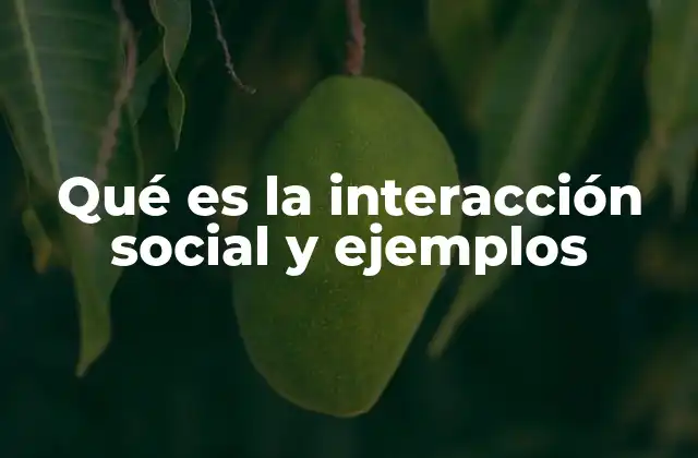 Qué es la Interacción Social y Ejemplos