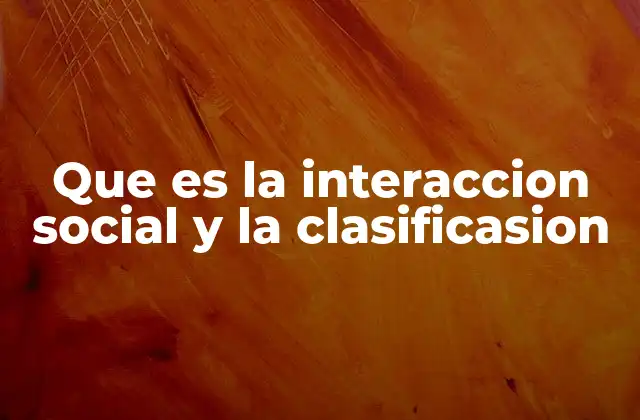 Que es la Interaccion Social y la Clasificasion