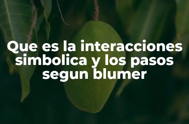 Que es la Interacciones Simbolica y los Pasos Segun Blumer
