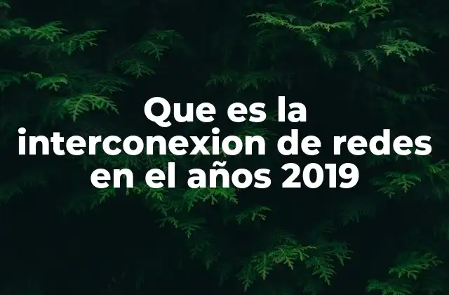 Que es la Interconexion de Redes en el Años 2019