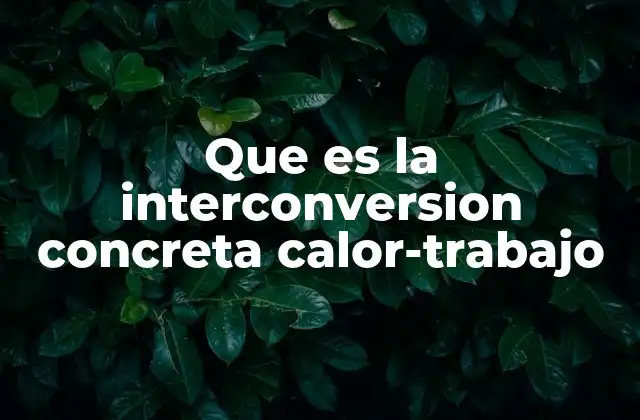 Que es la Interconversion Concreta Calor-trabajo